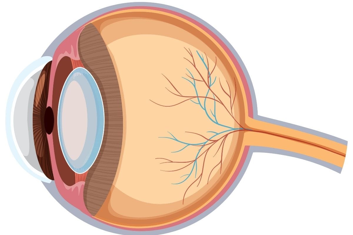 Göz tümörü nedir, belirtileri nelerdir? Tedavi yöntemleri.